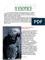 Pasari Exotice.pdf