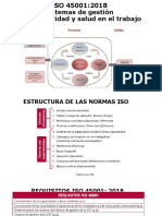 Iso 45001 PDF