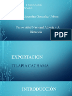 Exportación Tilapia