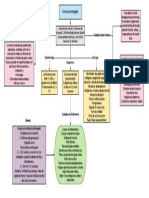 Mapa Embarazo Prolongado