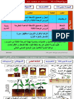 النشاط العلمي المستوى الثالث تمارين مصححة