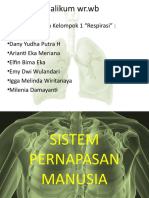 Bab 7 Sistem-Pernafasan-Pada-Manusia