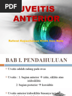 Download UVEITIS ANTERIOR referat by Elysabeth Tantri SN47403017 doc pdf