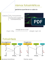 U3d_MicroorganismosFotosinteticos_A_20263.pdf