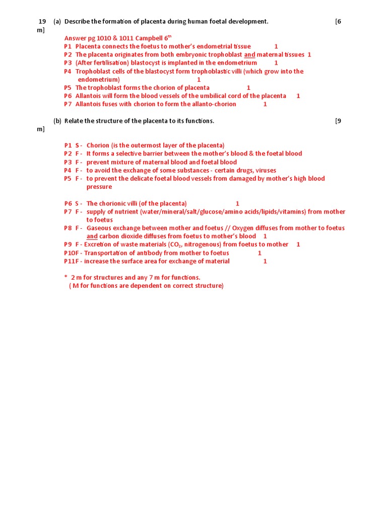 Development of Placenta | PDF