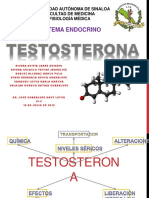 Testosterona 160508135740 PDF