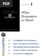 What Economics Is About