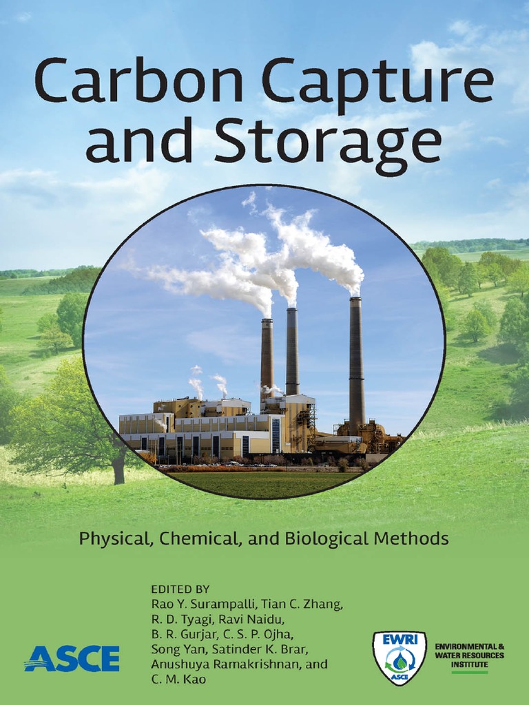Carbon Capture and Storage Physical | PDF | Carbon Capture And Storage ...