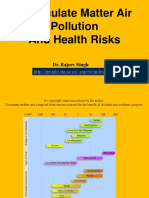 Particulate Matter Air Pollution and Health Risks PDF