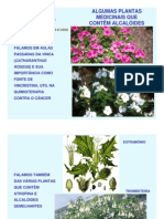 Plantas medicinais3 USP