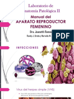 Manual Del Aparato Reproductor Femenino (Laboratorio) - 1 PDF