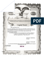 BWCapital Stock certificate sample.docx