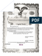 BWCapital Stock Certificate Sample
