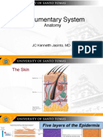 Integumentary System Lec PDF