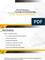PHA618 Ex 31 Revised PDF