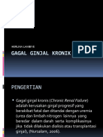 Gagal Ginjal Kronik