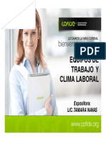 Equipos de Trabajo y Clima Laboral PDF