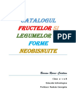 Proiect Tehnologica