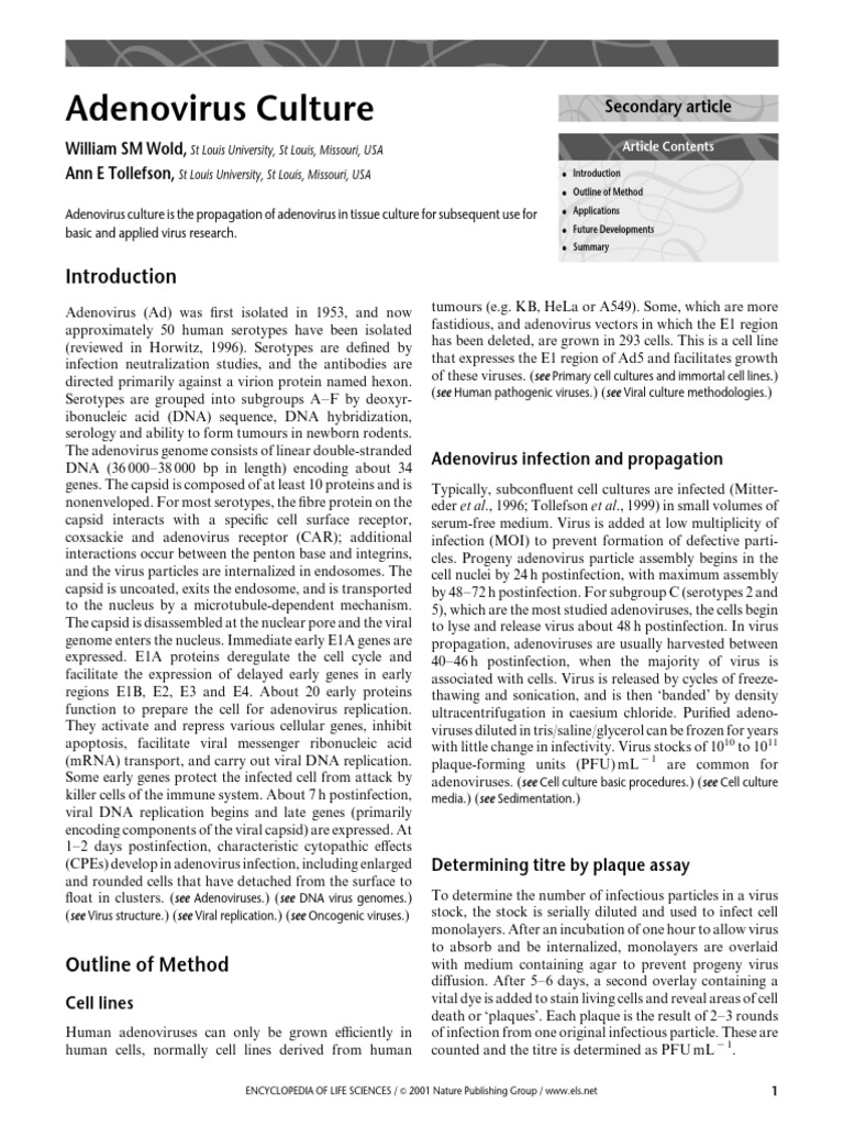 Adenovirus Culture PDF Viral Vector Adenoviridae