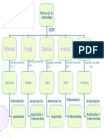 Mapa Conceptual Los Reinos de La Naturaleza