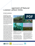 The Management of Natural Coastal Carbon Sinks: A Short Summary