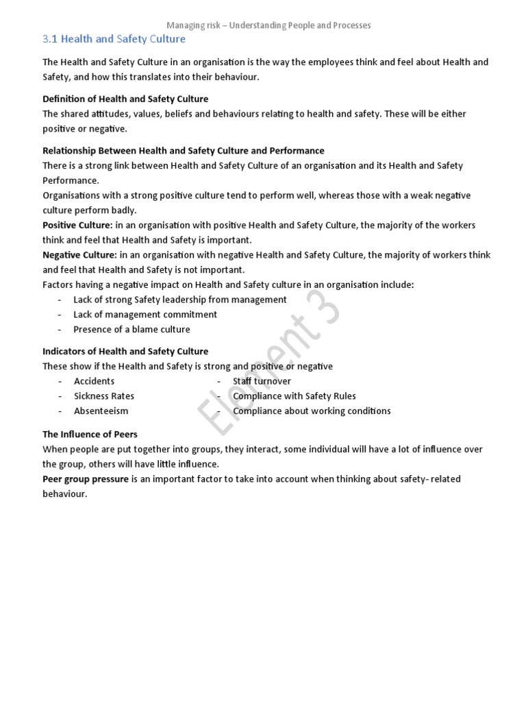 Health and Safety Culture Insights | PDF | Risk | Risk Assessment