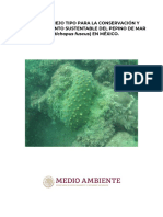 Plan de Manejo Pepino Actualizaci N 2019 PDF