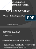 Dasar2 Anatomi Sistemik-Sist. Syaraf Fk-Unpri