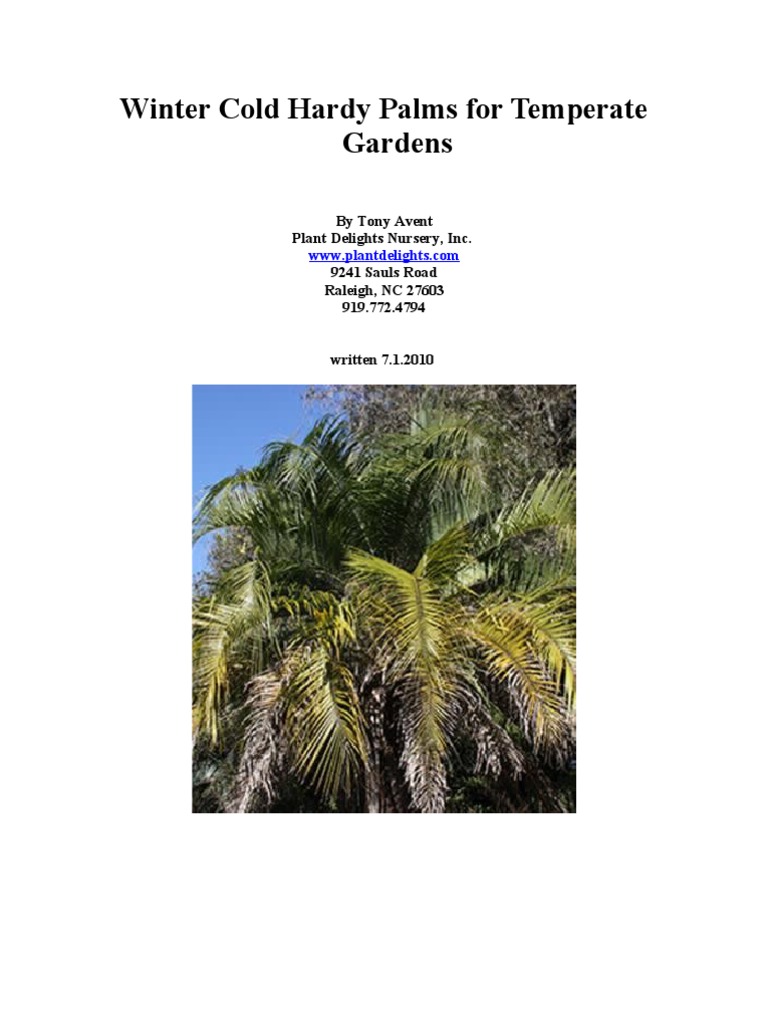 Cold Hardy Palm Trees For The Garden | PDF | Arecaceae | Plants