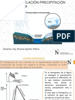 Relacion precipitacion - escorrentia.pdf