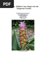 Download Curcuma - Hidden Cone Gingers for the Temperate Garden by Dennis Carey SN47409643 doc pdf
