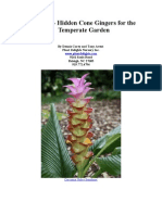Curcuma - Hidden Cone Gingers For The Temperate Garden