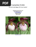 Cypripedium - Lady Slipper Orchids For The Garden