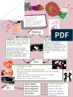 El Aborto PDF