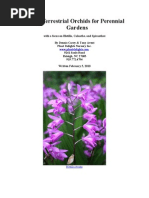 Cold Hardy Orchids For Temperate Gardens