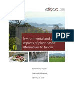 Bank of England Report on Environmental Impacts of Plant-Based Alternatives