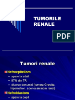 Tumorile Renale