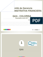 Comité de Gerencia - GAF Jun 2017 PDF