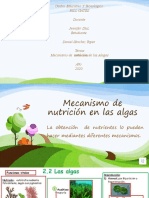 Mecanismo de Nutrición en Las Algas