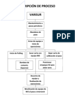 Descripcion Del Proceso Laboral PDF