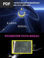 Download apa ciri bakau by izaidah_ajis SN47412247 doc pdf