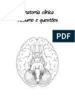 Anatomia Clinica - Resumo e Questões