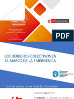 Derechos Colectivos y Estado de Emergencia