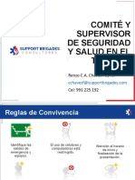 Presentación - Comité y Supervisor SST