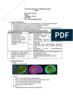 RPP Protista