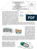 biolo.pdf