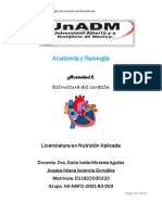 Actividad 2. Estructura Cardiaca PDF