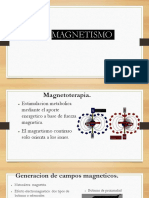 MAGNETISMO expo(2)