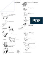 Worksheet On Animals