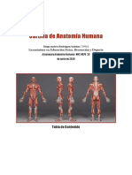 Formato Cartilla Final Anatomía Humana UNIMINUTO (2).docx